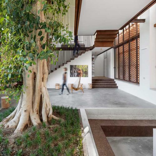 interior-biophilica-blog