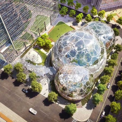 oficinas-disruptivas-biophilica